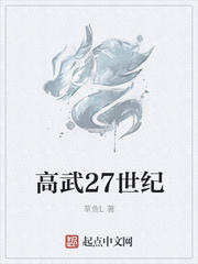 高武27世纪小说封面
